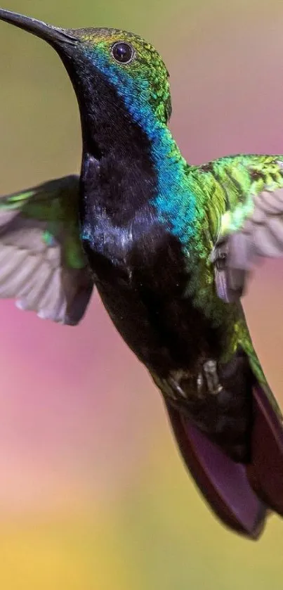 Vibrant green hummingbird in flight with colorful blurred background.