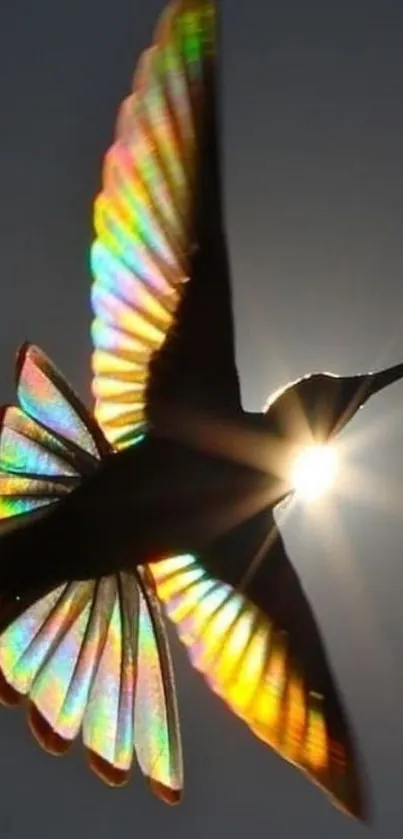 Silhouette of a colorful hummingbird with radiant wing light.