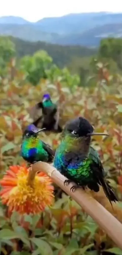 Vibrant hummingbirds on a branch with a scenic backdrop.