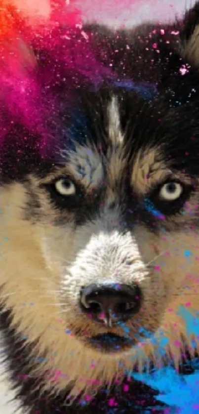 Vibrant husky art with colorful splashes for mobile wallpaper.