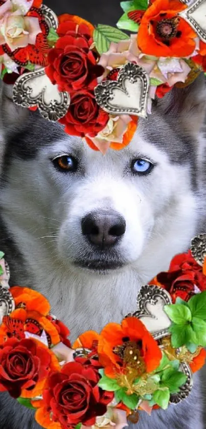 Majestic husky with vibrant floral heart design wallpaper.