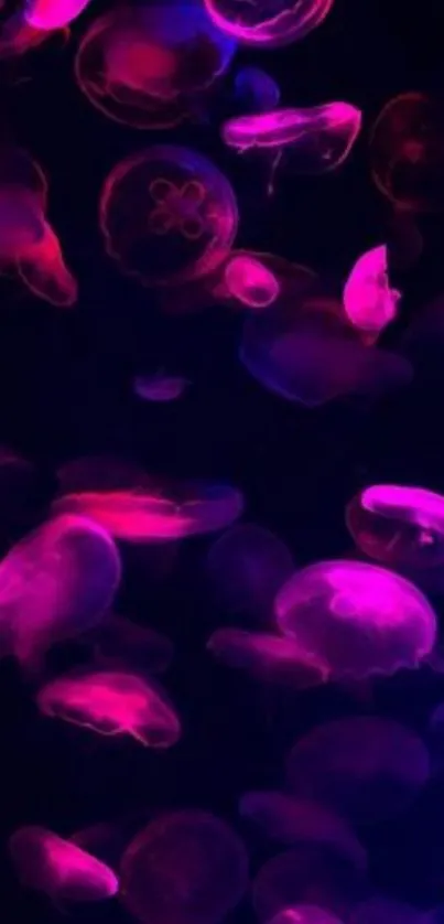 Vibrant neon jellyfish swimming in dark waters.