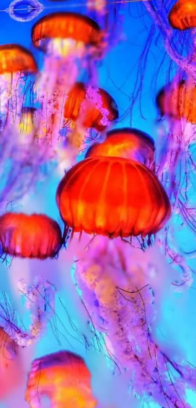 Vibrant orange and blue jellyfish in underwater scene wallpaper.