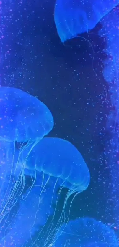 Neon blue jellyfish float majestically in a starry cosmic backdrop, full of vibrant colors.