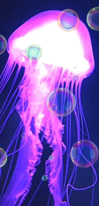 Glow of a luminous purple jellyfish against a dark backdrop.