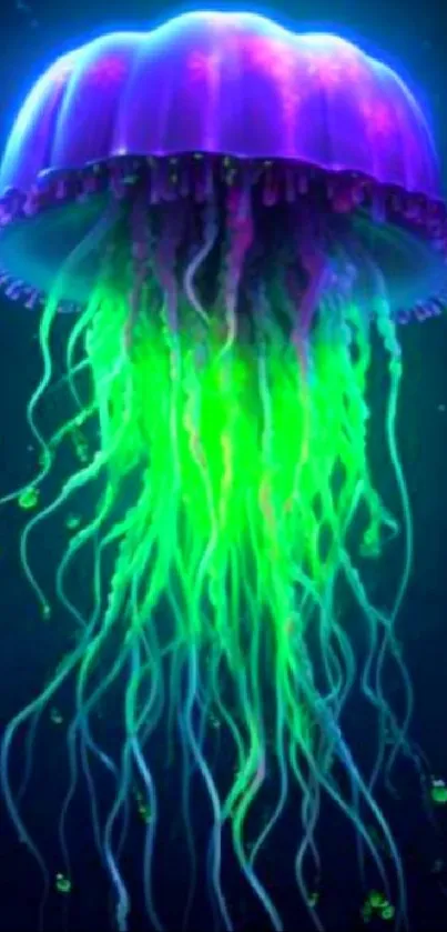 Neon jellyfish with glowing tentacles on a dark background.