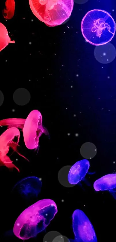 Vibrant neon-colored jellyfish floating in a dark underwater scene.