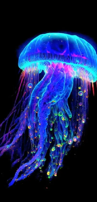 Glowing blue jellyfish with vibrant colors on a dark background.