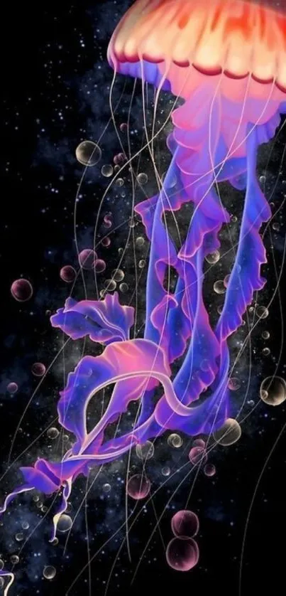Vibrant, colorful jellyfish floating gracefully on a deep black background.
