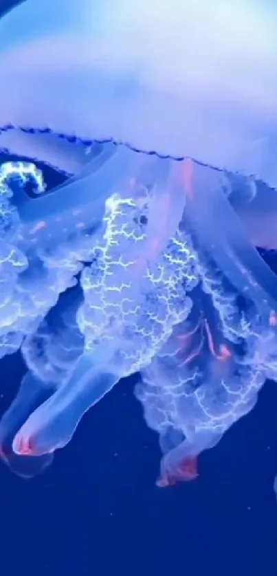 A vibrant, glowing jellyfish against a deep blue background, perfect for mobile screens.