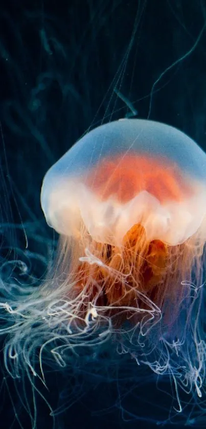 A vibrant jellyfish with flowing tentacles set against a dark blue background.