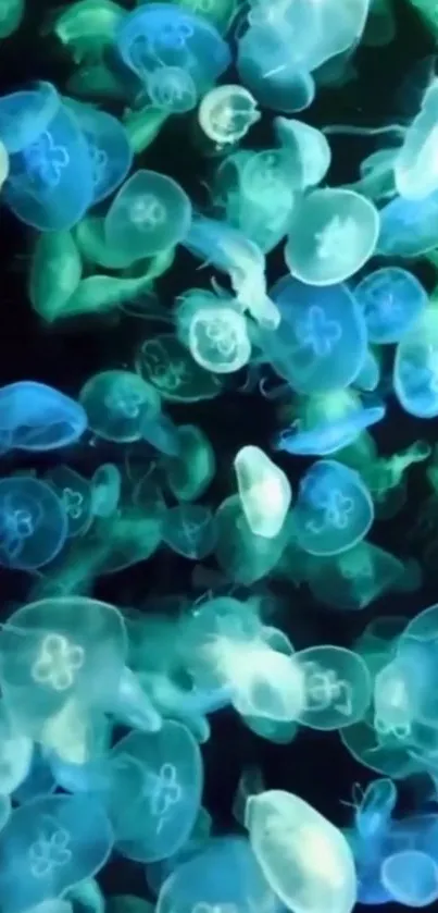 Vibrant wallpaper featuring glowing jellyfish in shades of blue and green.