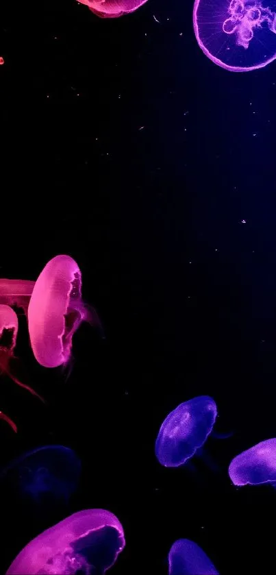 Colorful jellyfish floating on a dark ocean-themed mobile wallpaper.