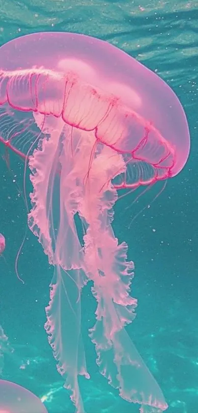 Vibrant jellyfish floating in turquoise ocean waters.