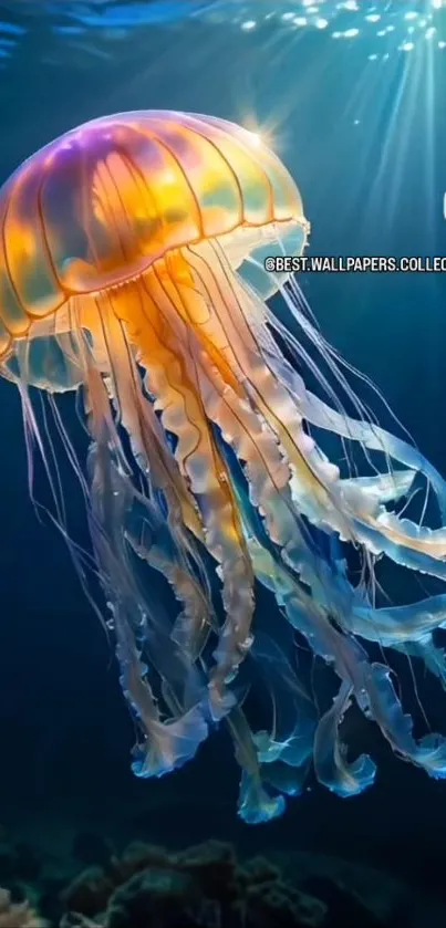 Colorful jellyfish illuminated against ocean background, vibrant photo.