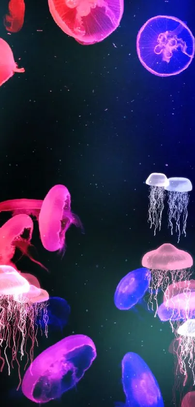 Vibrant neon jellyfish swimming in a dark ocean background.