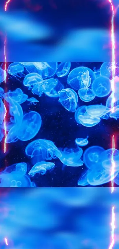 Blue jellyfish swimming with vibrant lighting, perfect for mobile wallpaper.