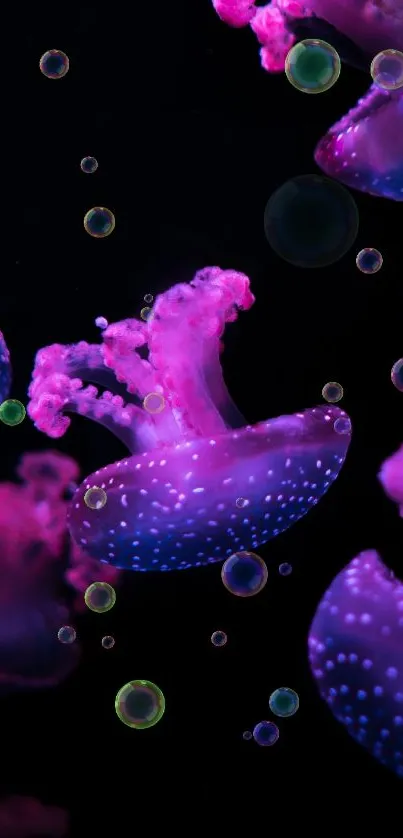 Luminescent purple jellyfish floating in a dark, captivating underwater scene.