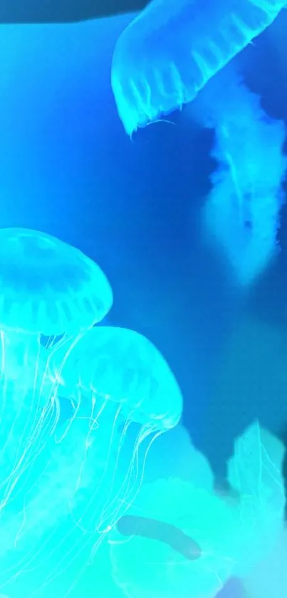 Vibrant jellyfish swimming in neon blue underwater scene.