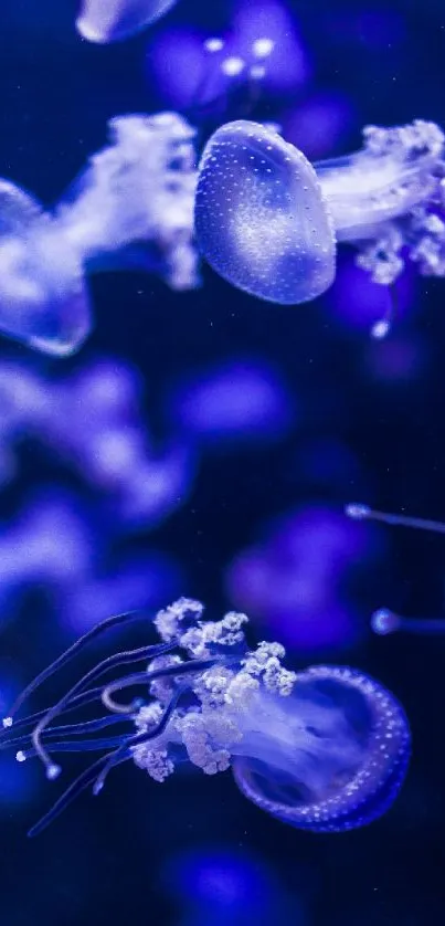 Vibrant purple jellyfish floating in a serene underwater scene.