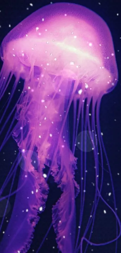 Vibrant purple jellyfish swimming in deep blue sea with glowing effect.