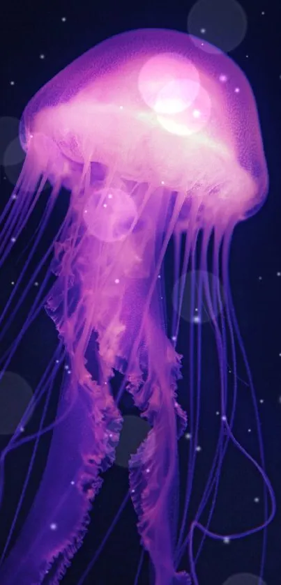 Glowing purple jellyfish in a dark ocean backdrop.