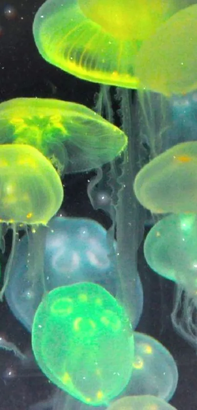 Neon green jellyfish glow in a vibrant underwater scene.