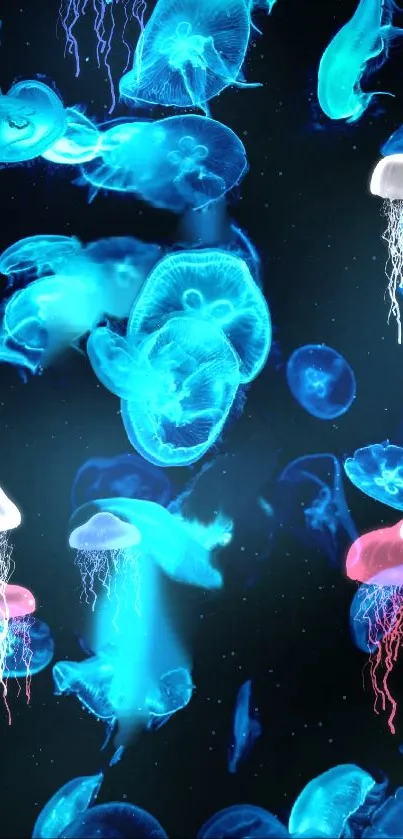 Vibrant blue jellyfish wallpaper with glowing marine creatures.