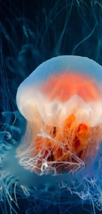 Glowing jellyfish with vibrant tentacles.