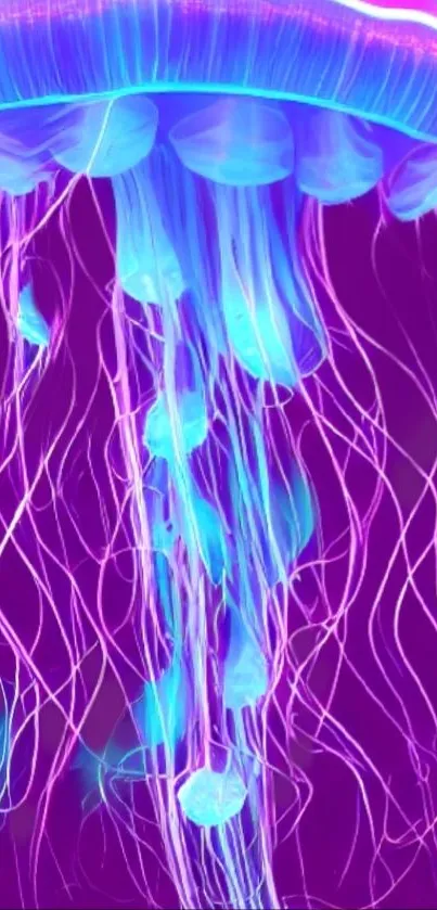 Vibrant purple and blue jellyfish on a mobile wallpaper background.