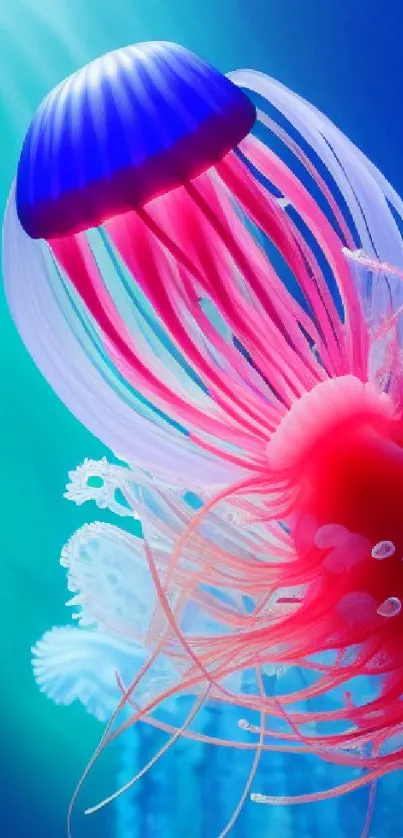 Colorful pink and blue jellyfish mobile wallpaper.