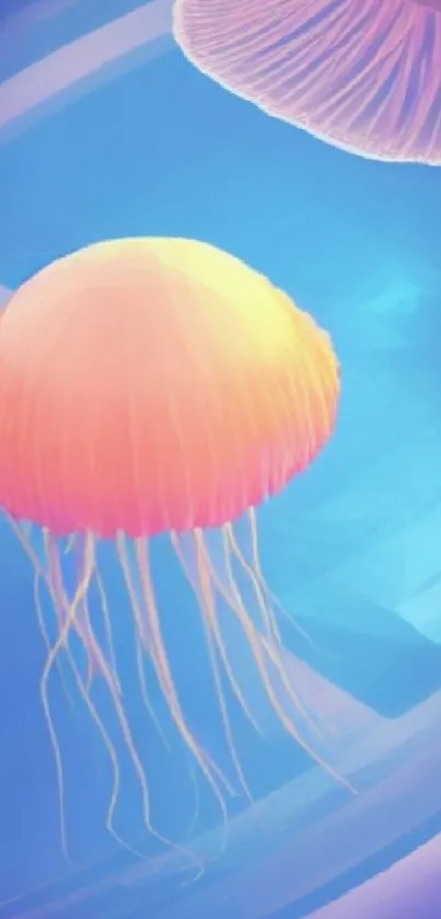 Colorful jellyfish against a blue background in mobile wallpaper.