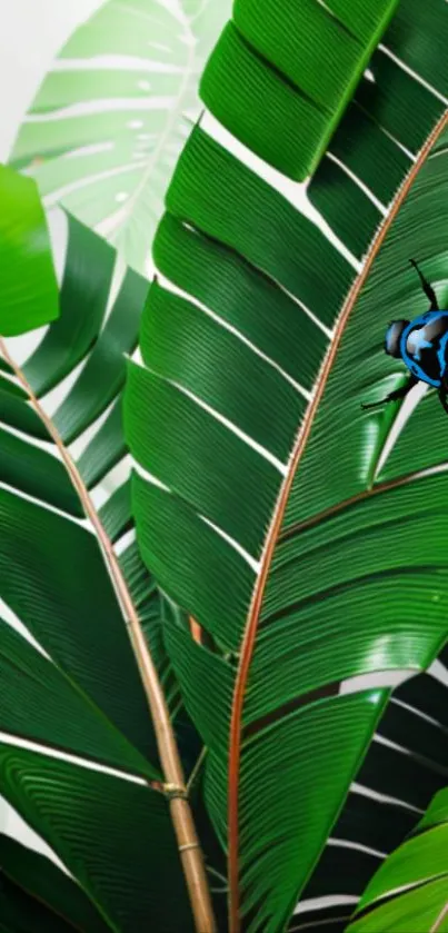 Lush green leaves with a blue beetle on jungle wallpaper.