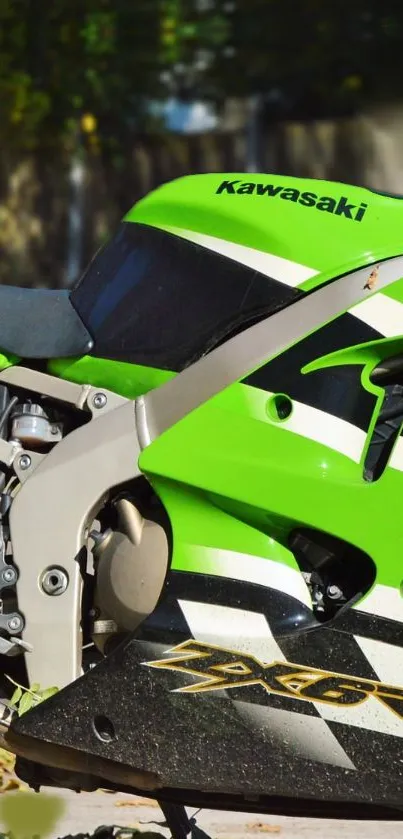 Kawasaki Ninja motorcycle with green and black color design.