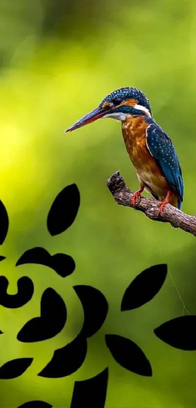 Kingfisher perched on a branch with a vibrant green background.