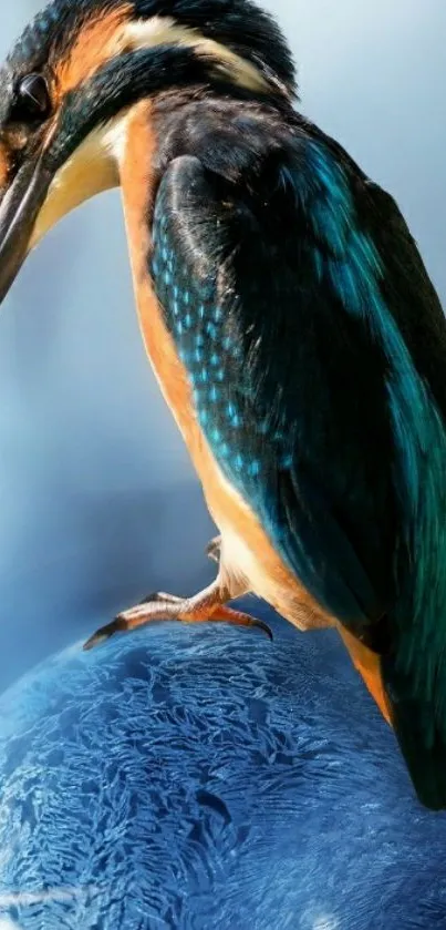 Vibrant kingfisher perched on a blue globe background.