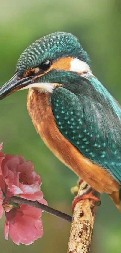 Vibrant kingfisher perched on a flowering branch.