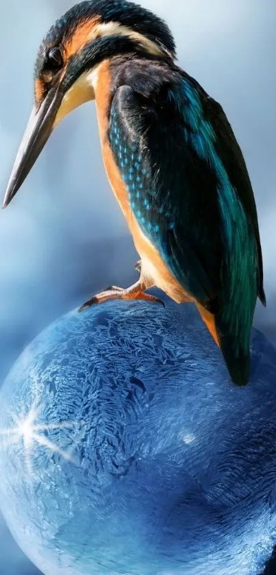 Kingfisher perched on an icy blue globe, nature wallpaper.