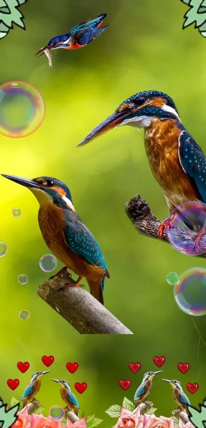 Colorful kingfishers on branches with bubbles and hearts on a green background.