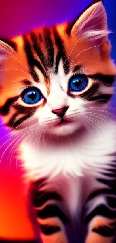 Cute kitten with orange and blue vibrant background.