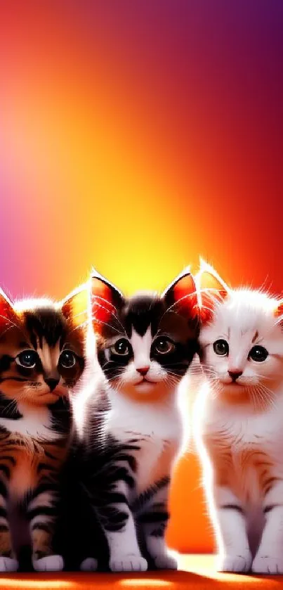 Three adorable kittens with vibrant background wallpaper.