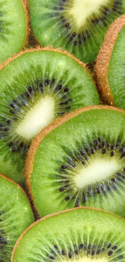 Close-up of vibrant green kiwi fruit slices.