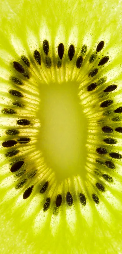 Close-up of a vibrant green kiwi fruit slice.