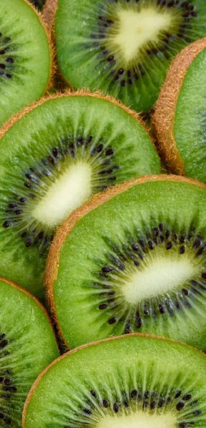 Close-up of vibrant kiwi slices forming a natural pattern background.