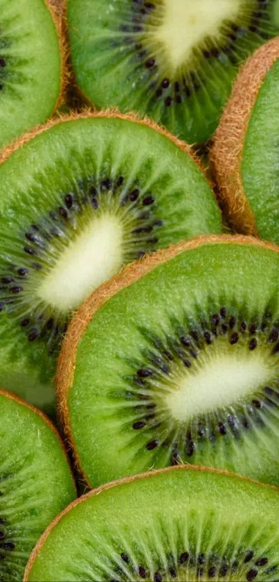 Slices of vibrant green kiwi fruit arranged closely.