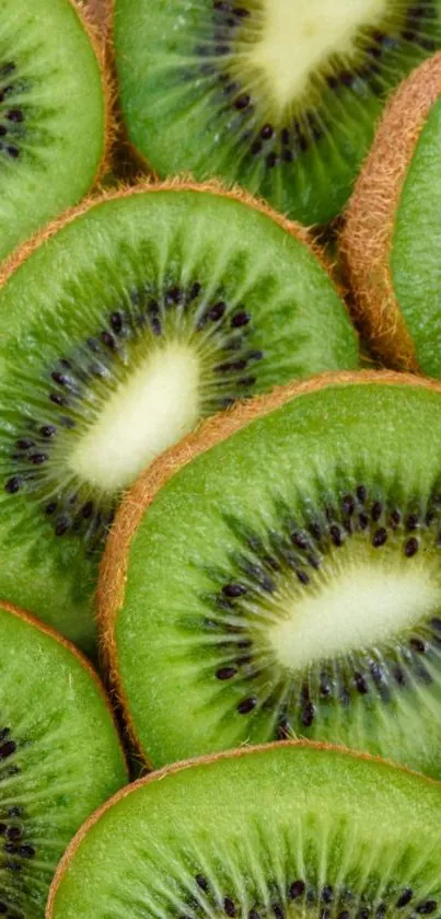 Close-up of vibrant kiwi slices in a fresh, green design.