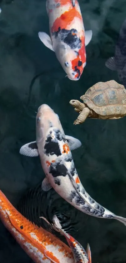 Vivid koi fish and tortoise in a serene pond background.