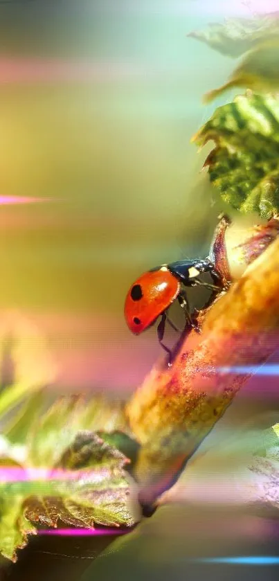 Ladybug on leaf with vibrant colors and dreamy background, perfect for mobile wallpaper.