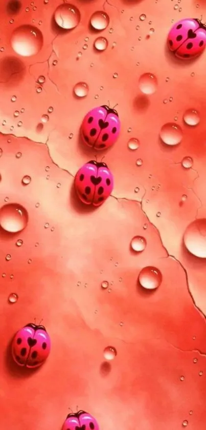 Pink ladybugs on a vibrant red background with water droplets.