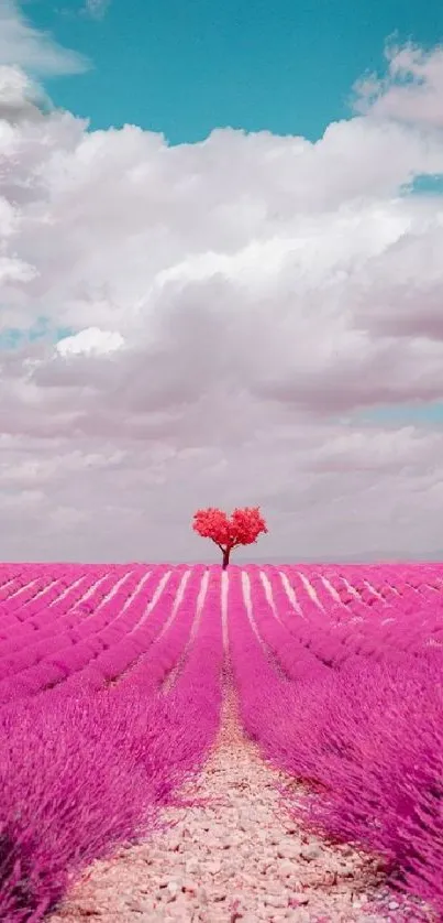 Vibrant lavender field with pink tree under a blue sky.